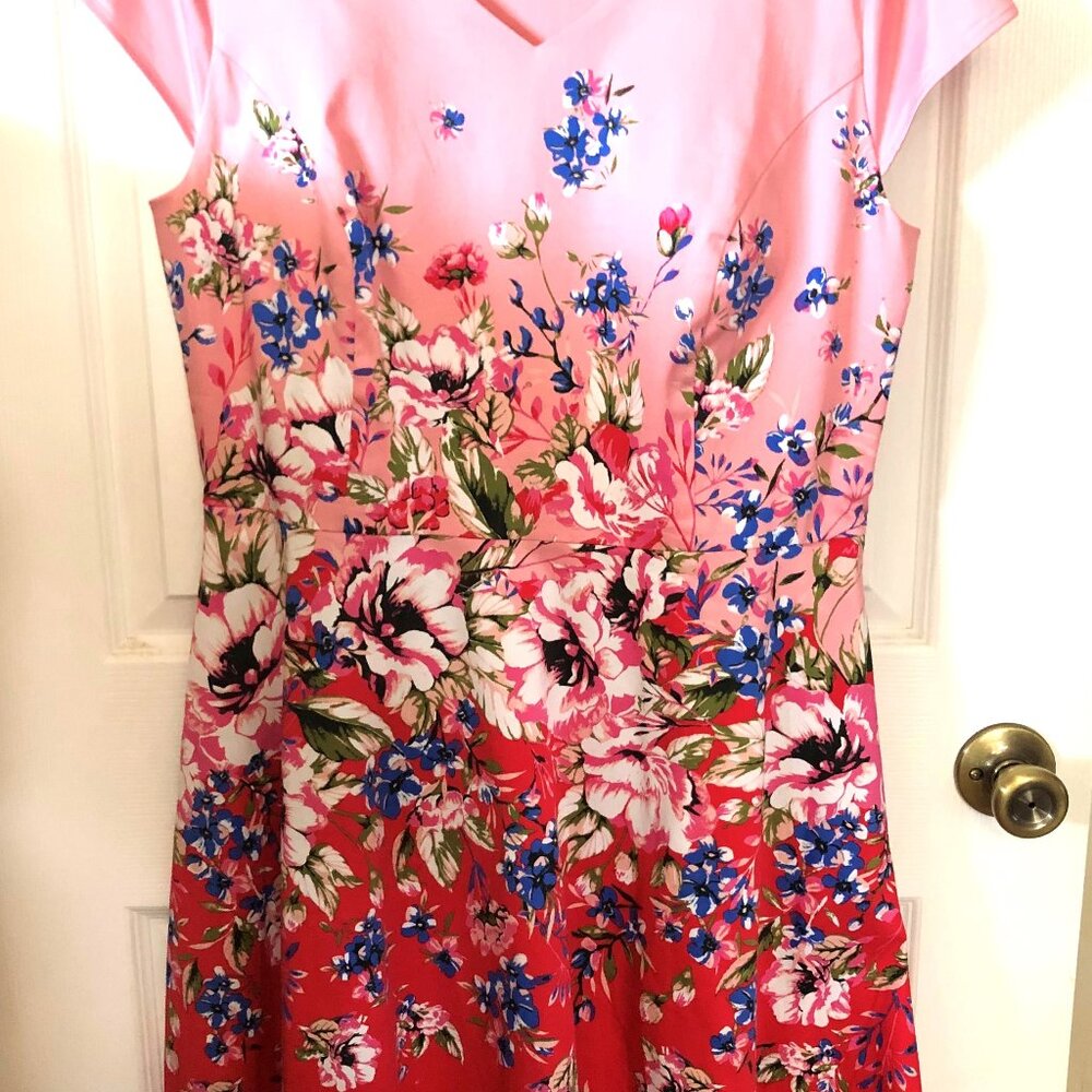 Isaac Mizrahi Floral Print Fit Flare Dress Size 10 NWOT